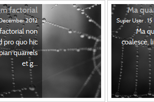 Scroll animation