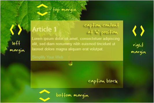 Margins Margins