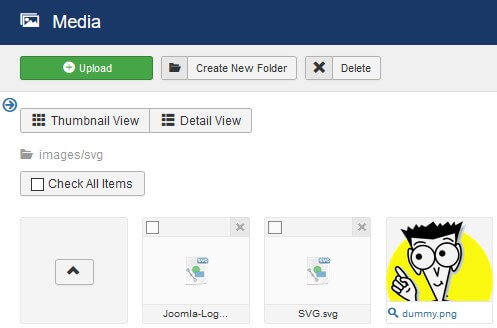 The /svg folder